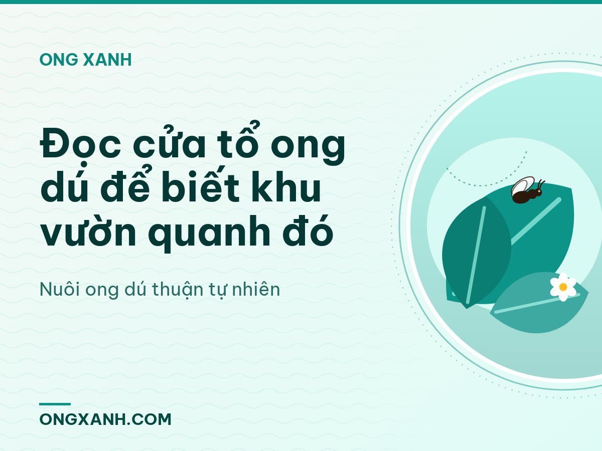 Đọc cửa tổ ong dú để biết khu vườn quanh đó