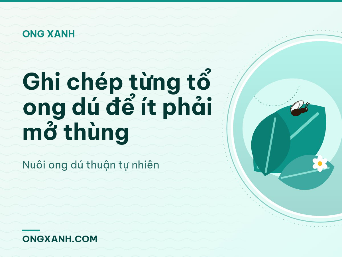 Ghi chép từng tổ ong dú để ít phải mở thùng