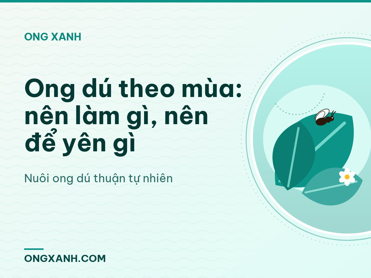 Ong dú theo mùa: nên làm gì, nên để yên gì