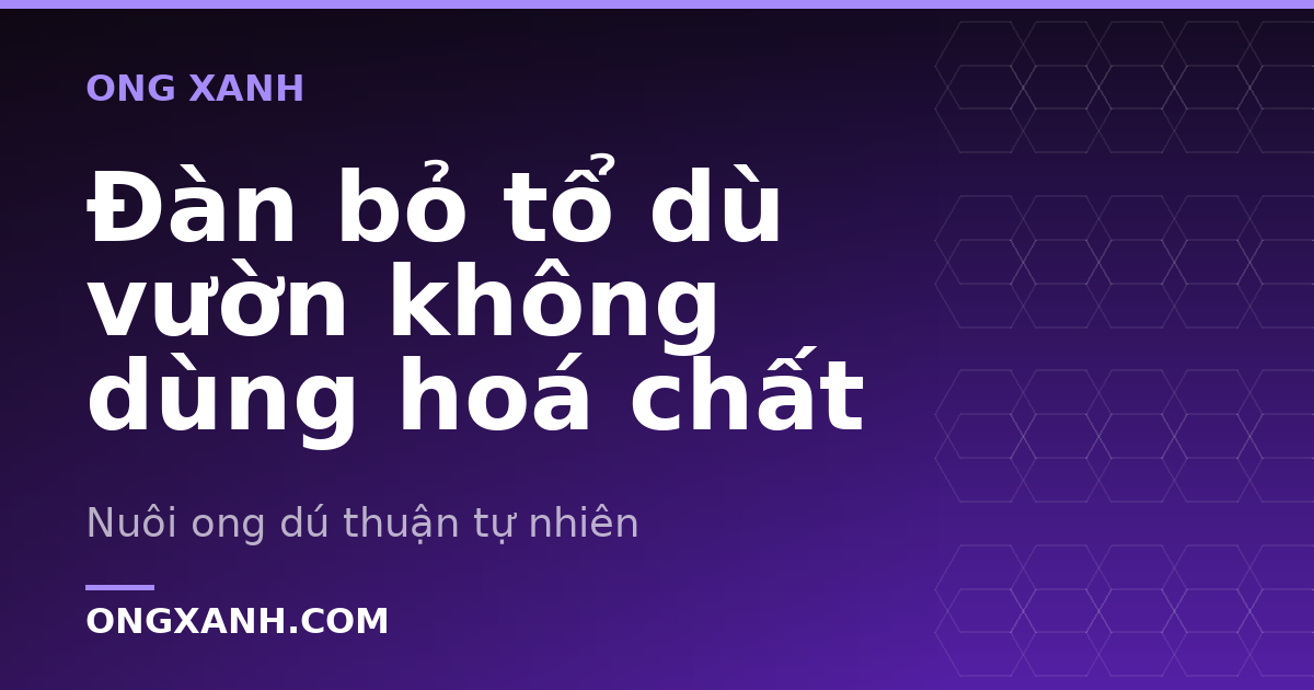 Đàn bỏ tổ dù vườn không dùng hoá chất