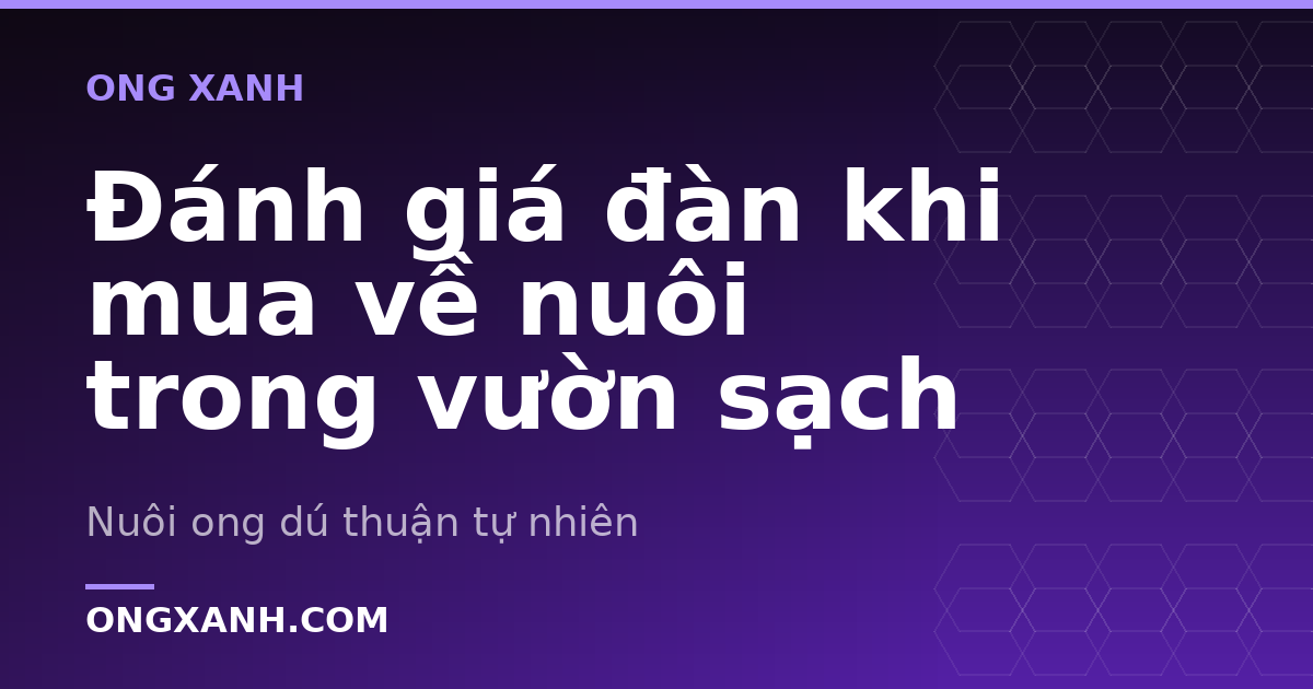 Đánh giá đàn khi mua về nuôi trong vườn sạch