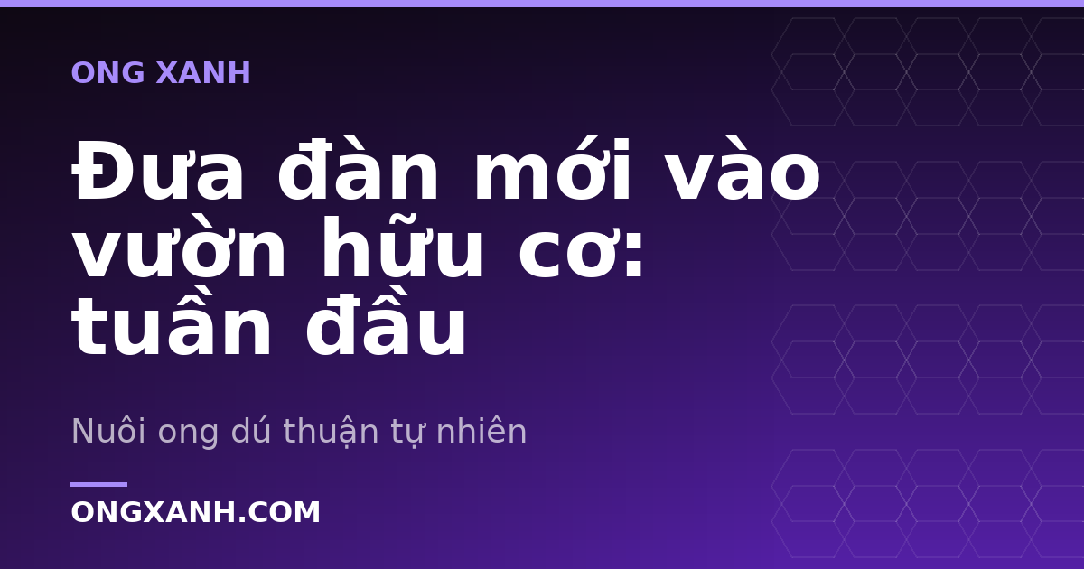 Đưa đàn mới vào vườn hữu cơ: tuần đầu