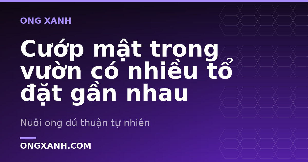 Cướp mật trong vườn có nhiều tổ đặt gần nhau