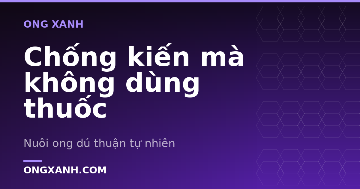 Chống kiến mà không dùng thuốc