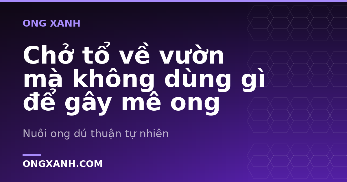 Chở tổ về vườn mà không dùng gì để gây mê ong