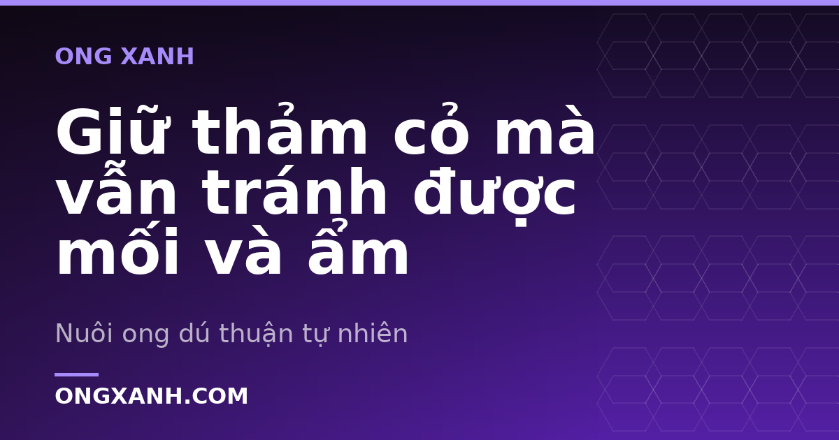 Giữ thảm cỏ mà vẫn tránh được mối và ẩm