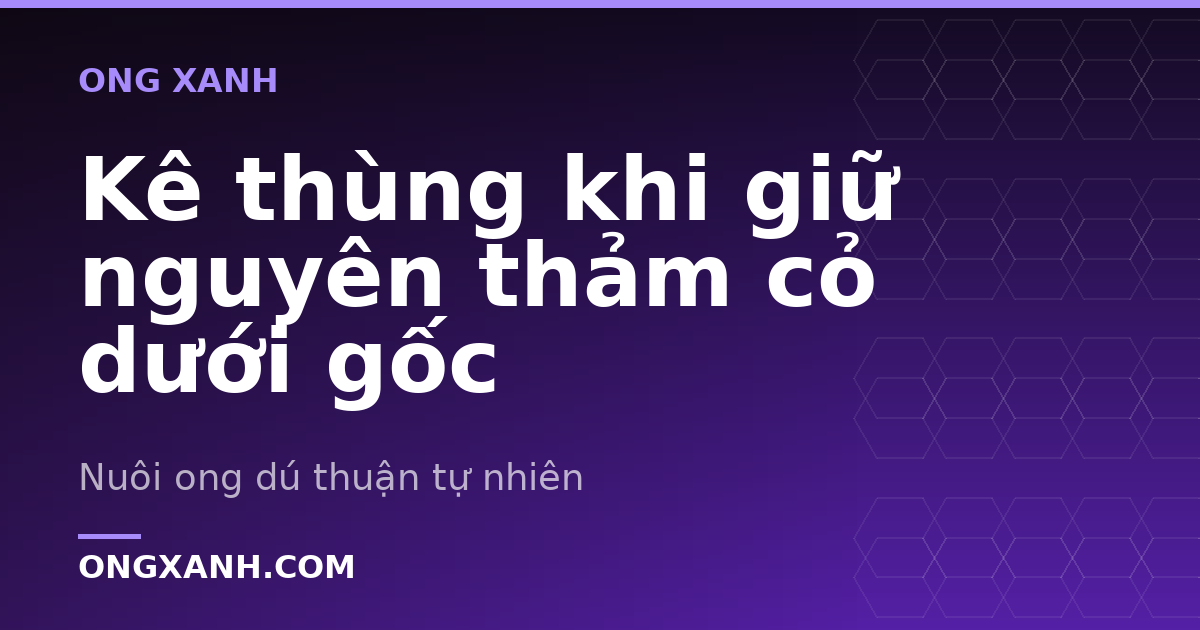Kê thùng khi giữ nguyên thảm cỏ dưới gốc