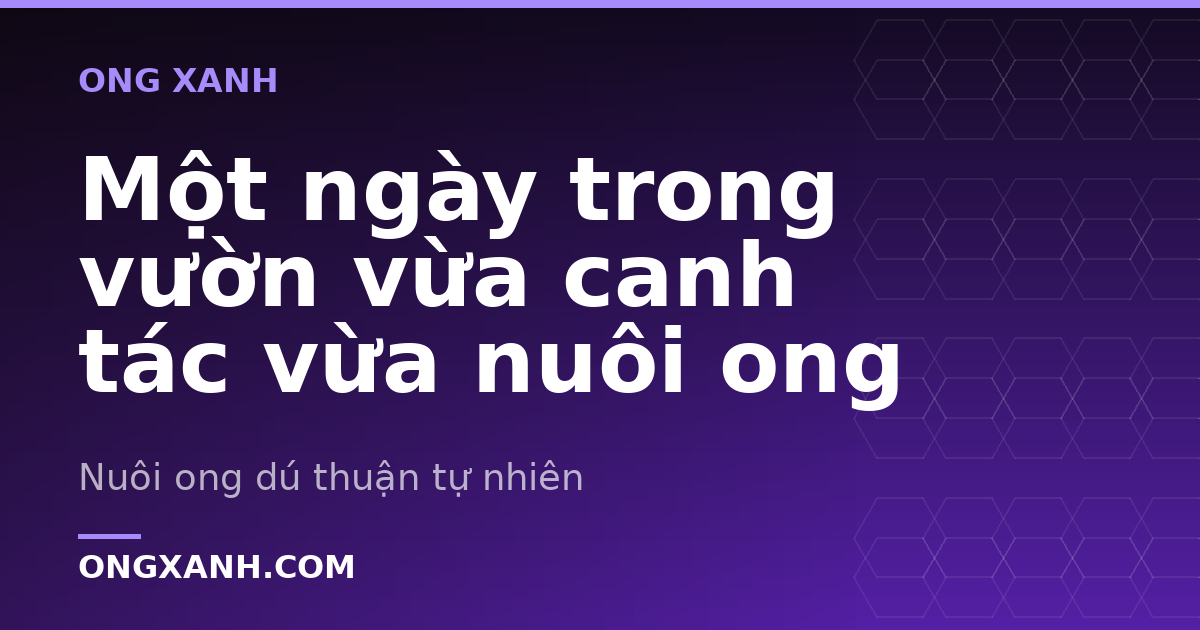 Một ngày trong vườn vừa canh tác vừa nuôi ong
