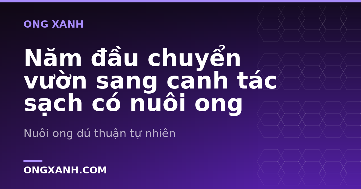 Năm đầu chuyển vườn sang canh tác sạch có nuôi ong