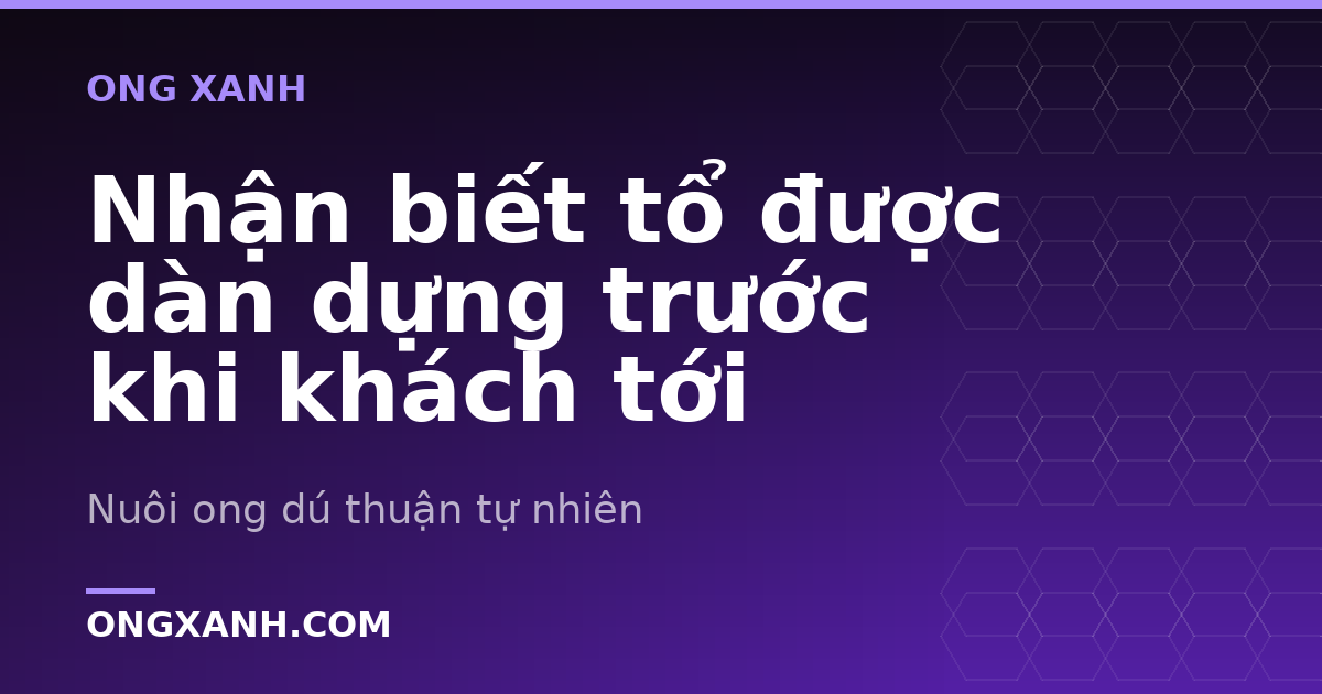 Nhận biết tổ được dàn dựng trước khi khách tới
