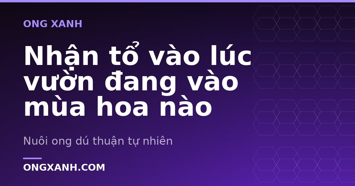 Nhận tổ vào lúc vườn đang vào mùa hoa nào