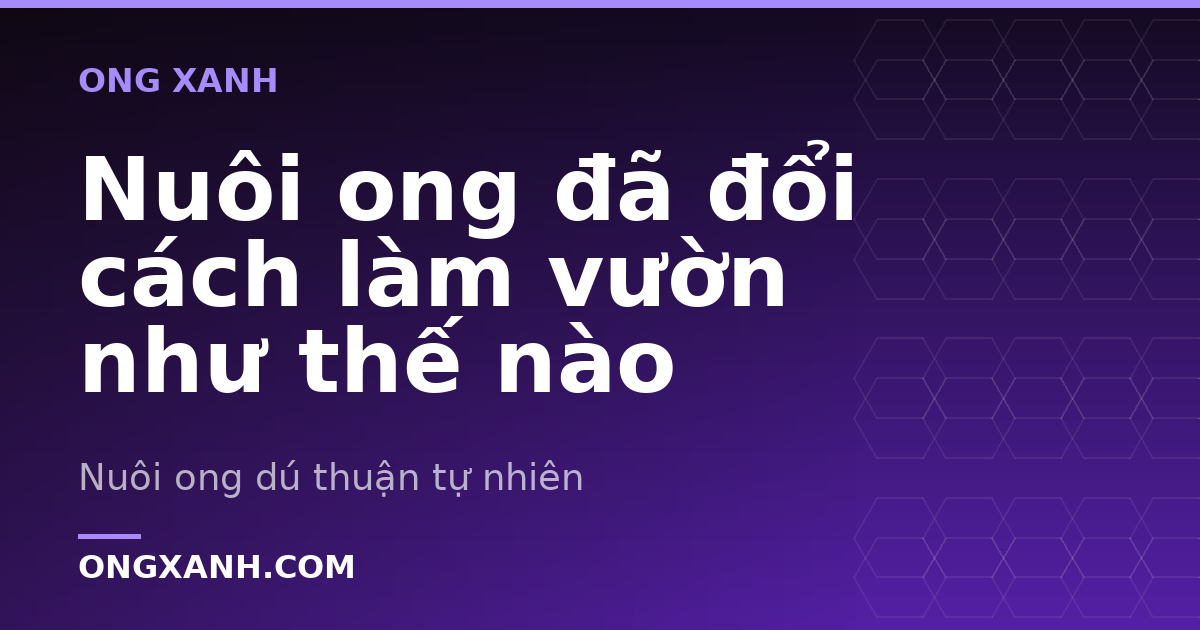 Nuôi ong đã đổi cách làm vườn như thế nào
