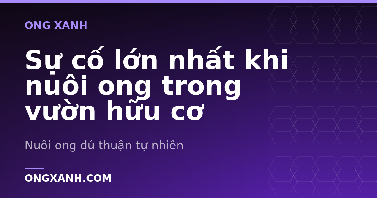 Sự cố lớn nhất khi nuôi ong trong vườn hữu cơ