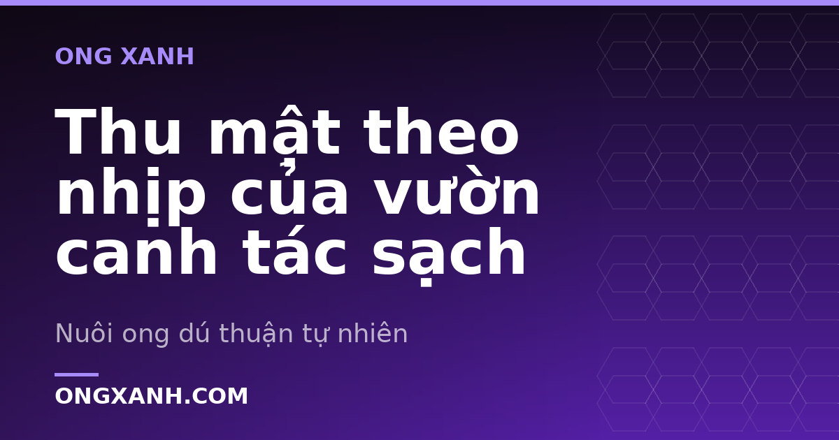 Thu mật theo nhịp của vườn canh tác sạch